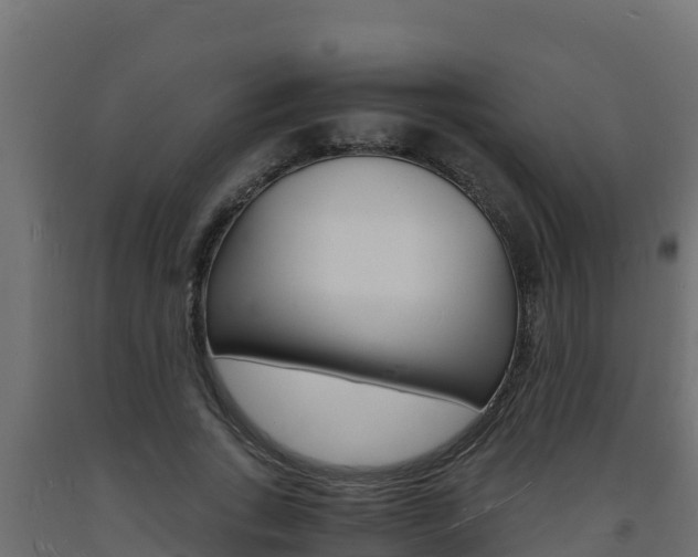 X0000093730735200710160813