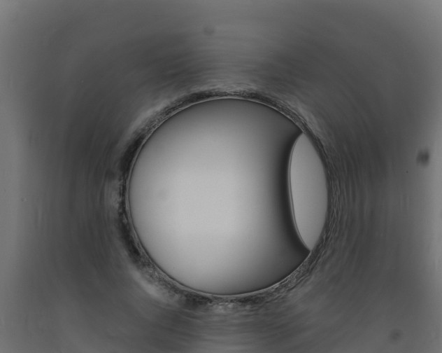 X0000093730736200710160813