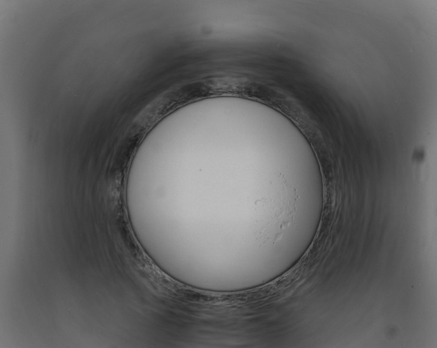 X0000093730737200710160813