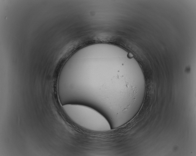 X0000093730738200710160813