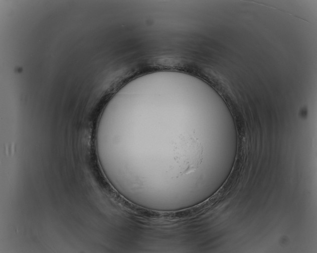 X0000093730739200710160813