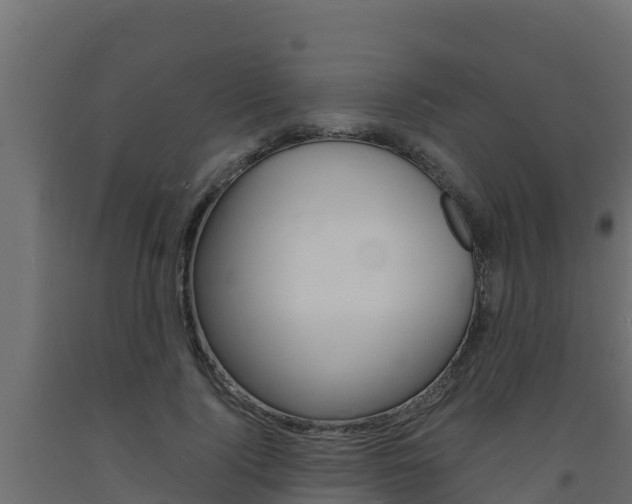 X0000093730740200710160813