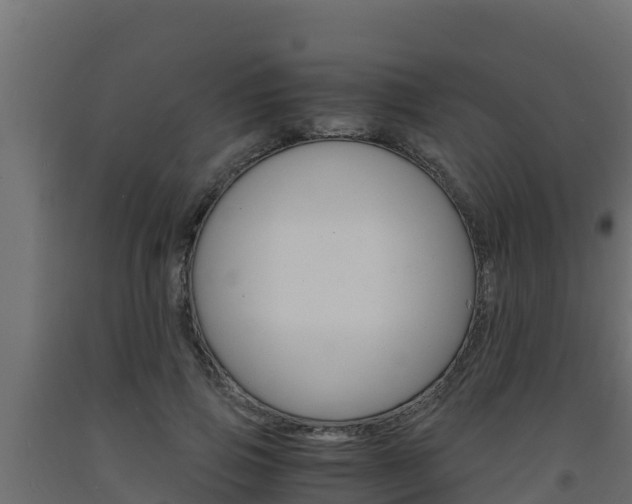 X0000093730741200710160813