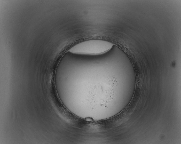 X0000093730742200710160813