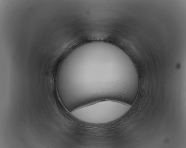 X0000093730743200710160813