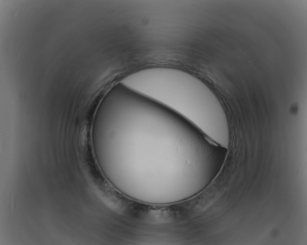 X0000093730744200710160813