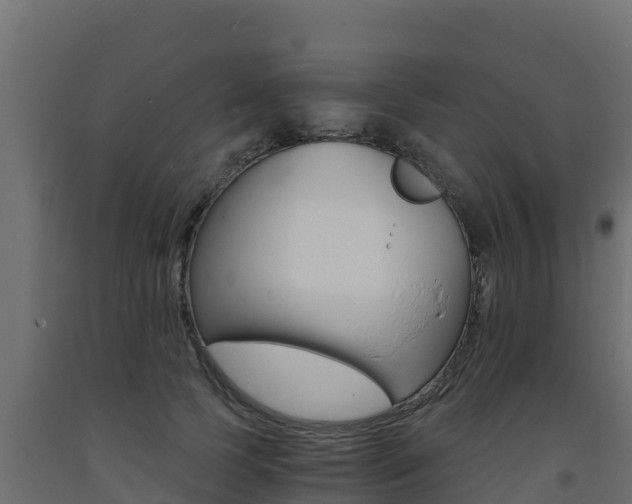 X0000093730745200710160813