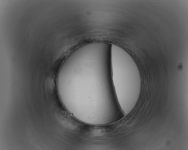 X0000093730746200710160813