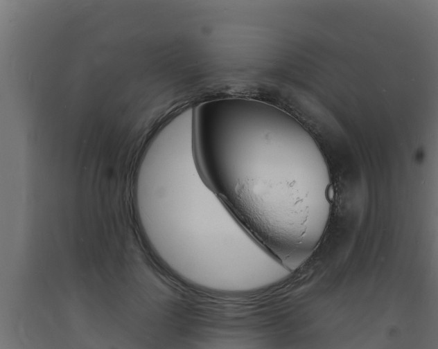 X0000093730748200710160813