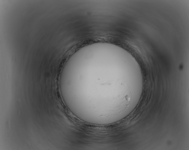 X0000093730749200710160813