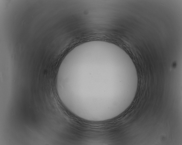 X0000093730750200710160813