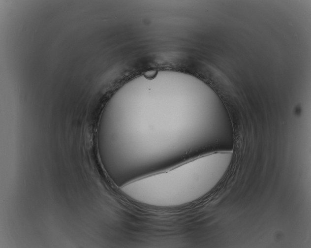 X0000093730751200710160813