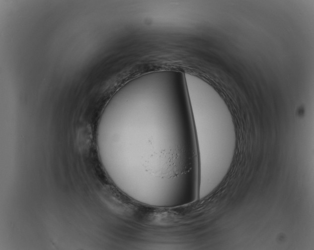 X0000093730752200710160813