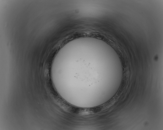X0000093730754200710160813