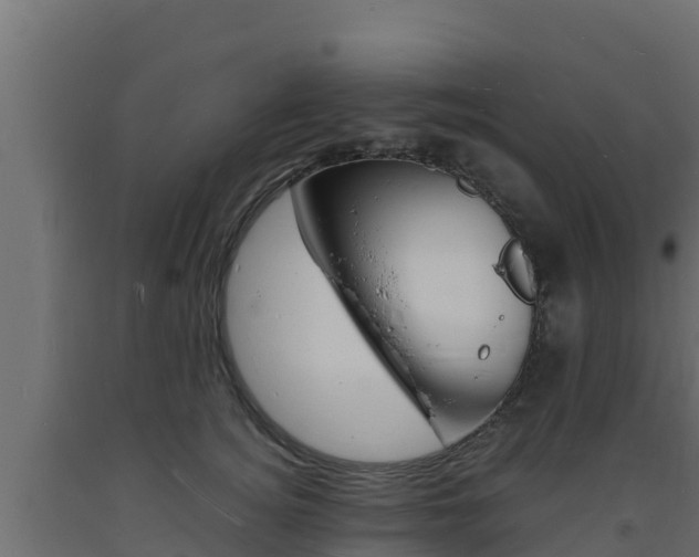 X0000093730756200710160813