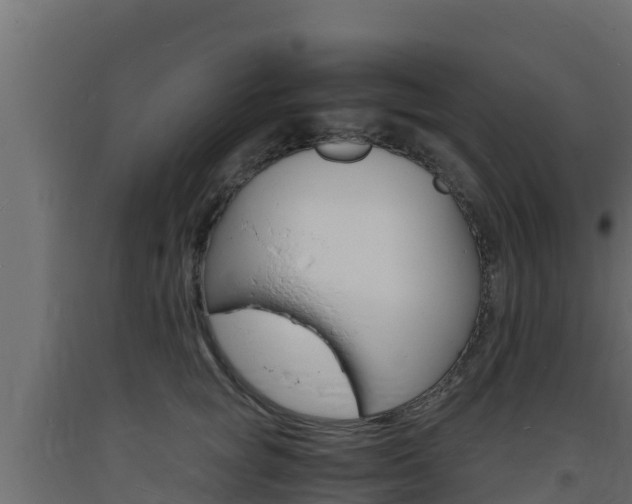 X0000093730757200710160813