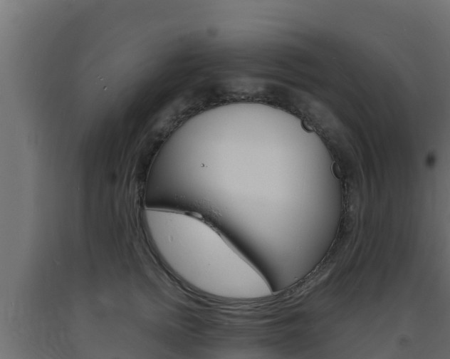 X0000093730758200710160813