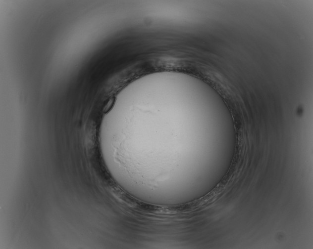 X0000093730760200710160813