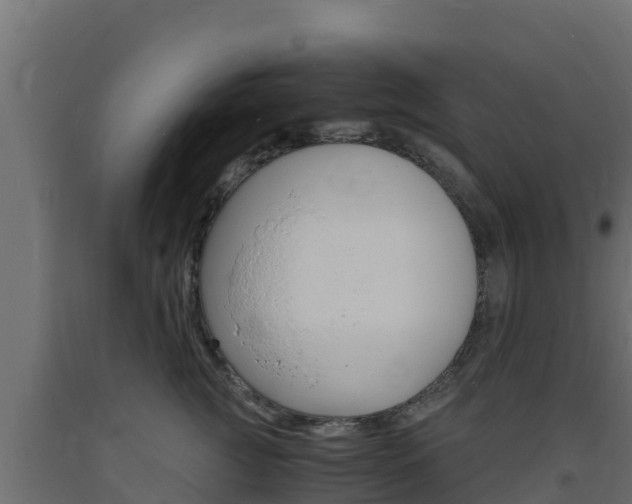 X0000093730761200710160813