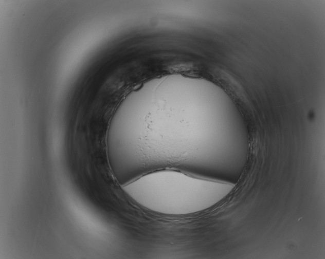 X0000093730763200710160813
