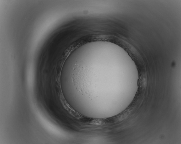 X0000093730764200710160813