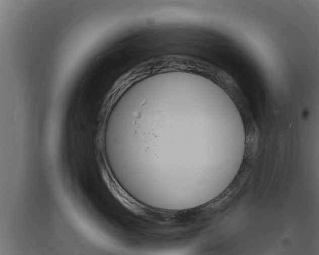 X0000093730765200710160813