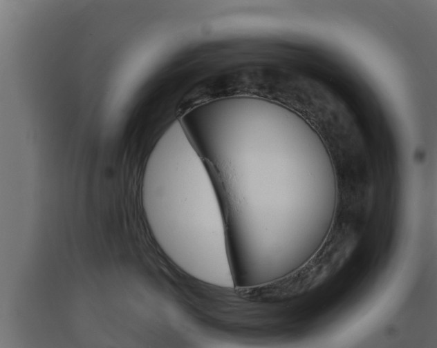 X0000093730766200710160813