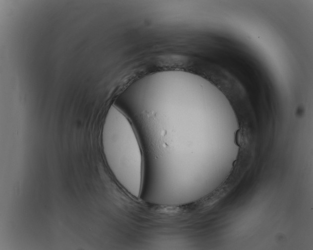 X0000093730767200710160813