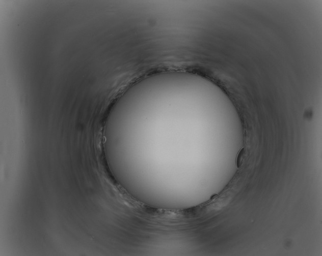 X0000093730768200710160813