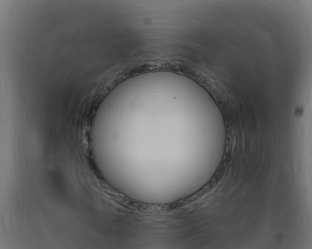 X0000093730770200710160813