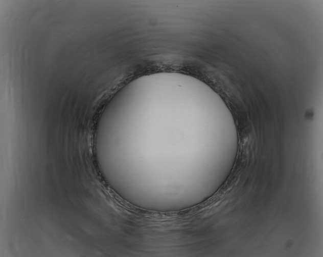 X0000093730772200710160813