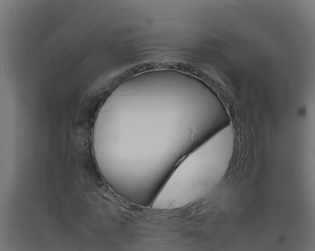 X0000093730773200710160813
