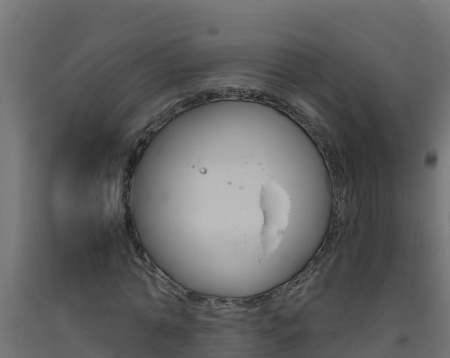 X0000093730774200710160813