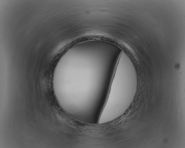 X0000093730775200710160812