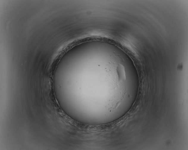 X0000093730776200710160812