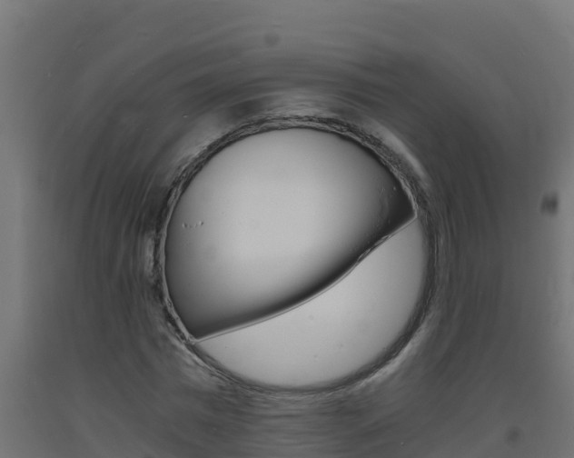 X0000093730777200710160812