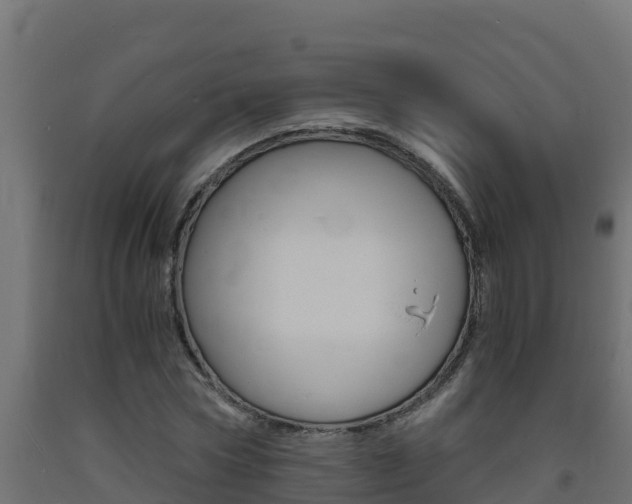 X0000093730778200710160812