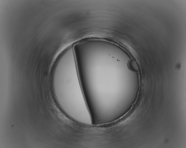 X0000093730779200710160812