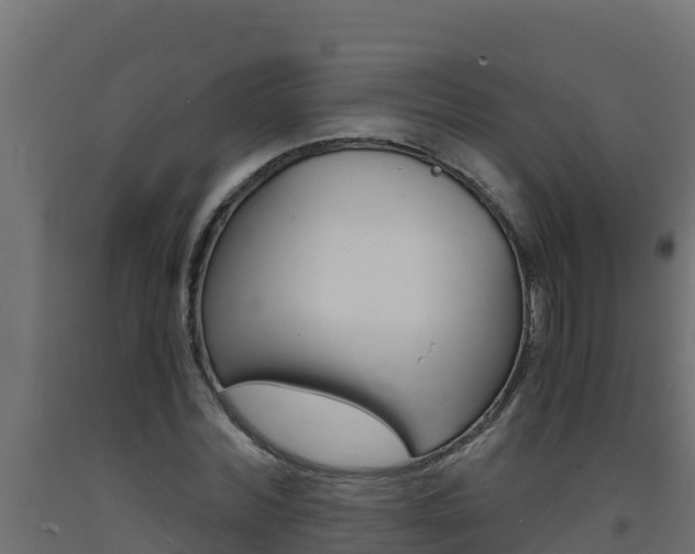 X0000093730780200710160812