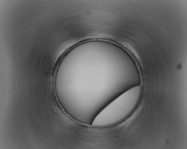 X0000093730781200710160812