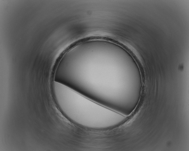 X0000093730783200710160812