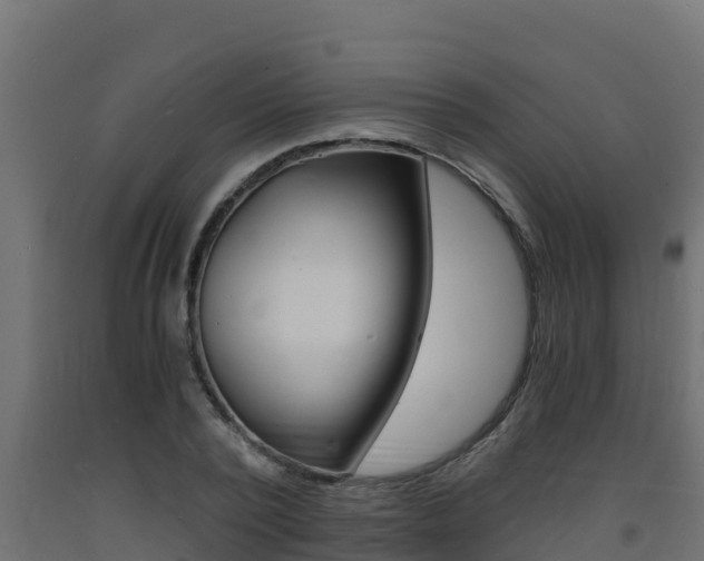 X0000093730784200710160812