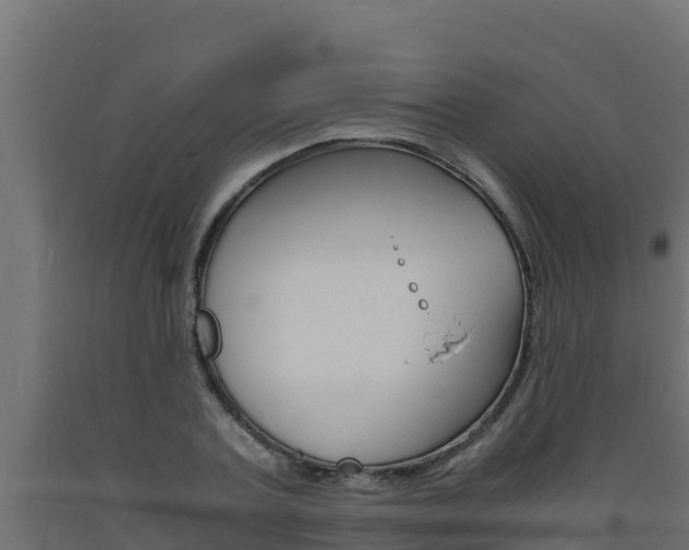 X0000093730787200710160812