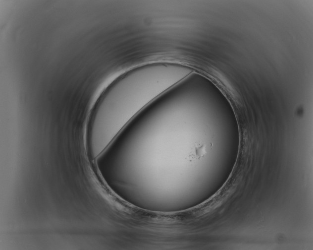 X0000093730788200710160812