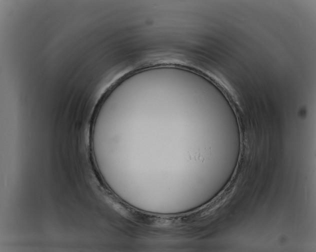 X0000093730790200710160812