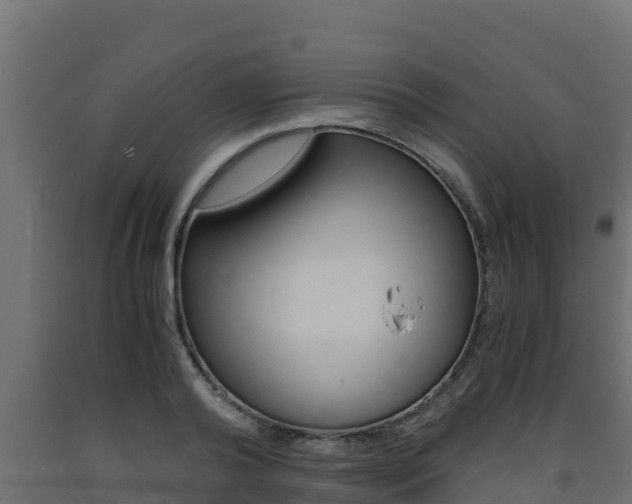 X0000093730792200710160812