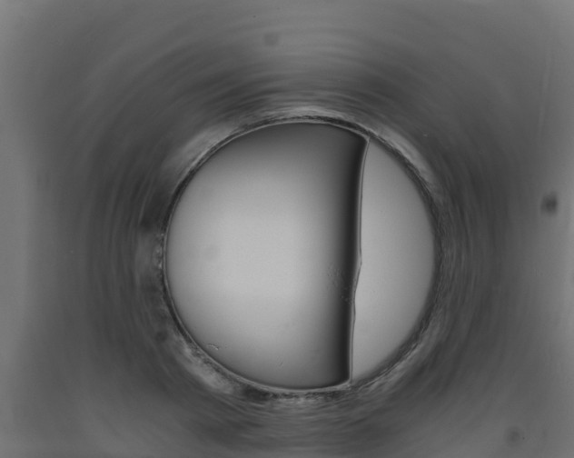X0000093730793200710160812