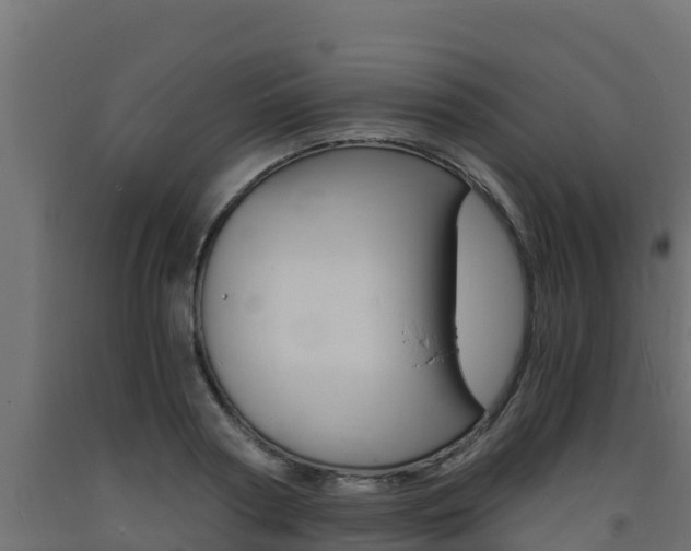 X0000093730794200710160812