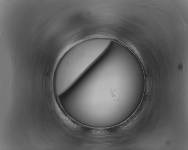 X0000093730795200710160812