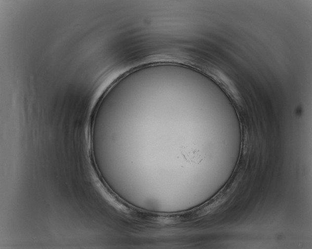 X0000093730796200710160812